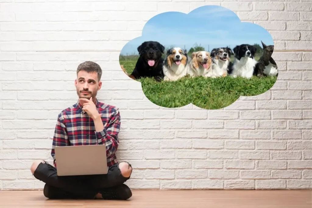 Man thinking about dogs with a laptop, thought bubble with dogs on grass