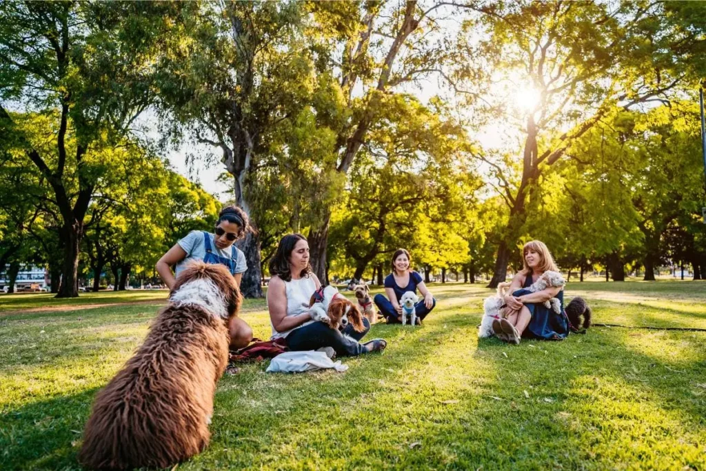 Group of women enjoying a sunny day in the park with their dogs of various breeds