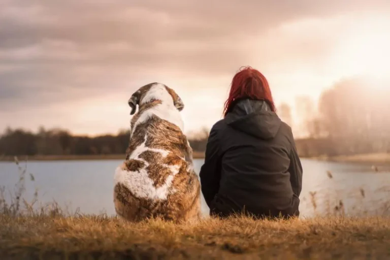 Person and dog sharing a quiet moment by the water